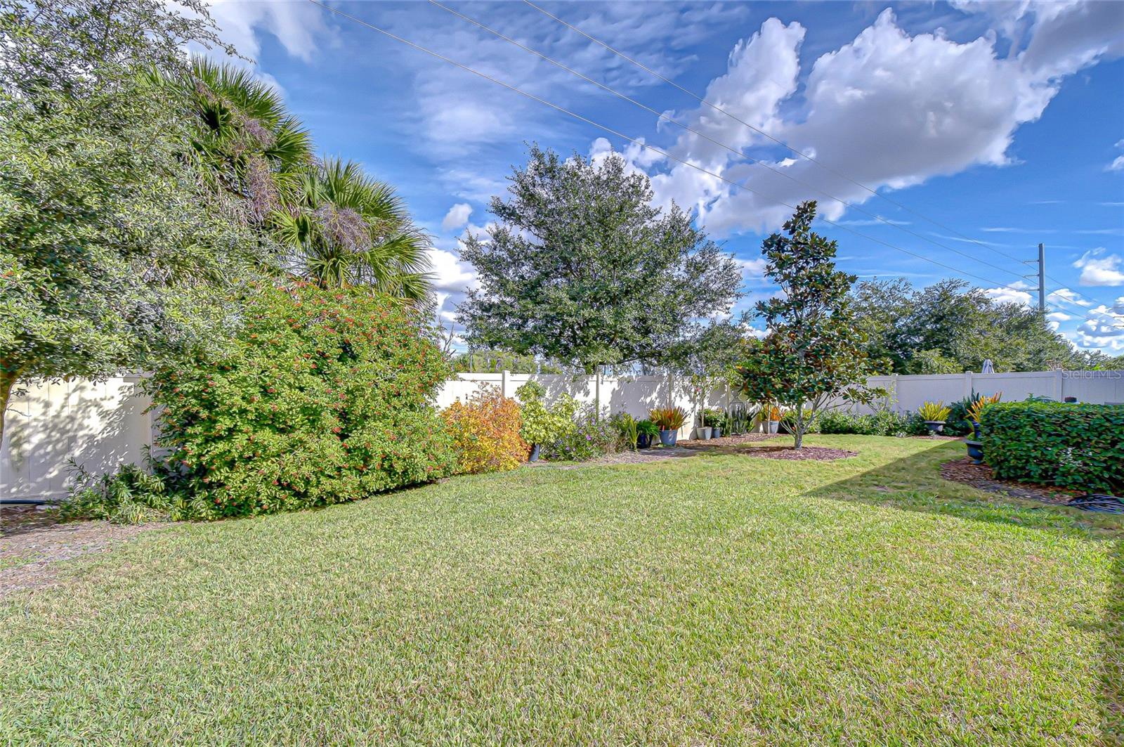 CYPRESS PRESERVE PH 1B - Residential