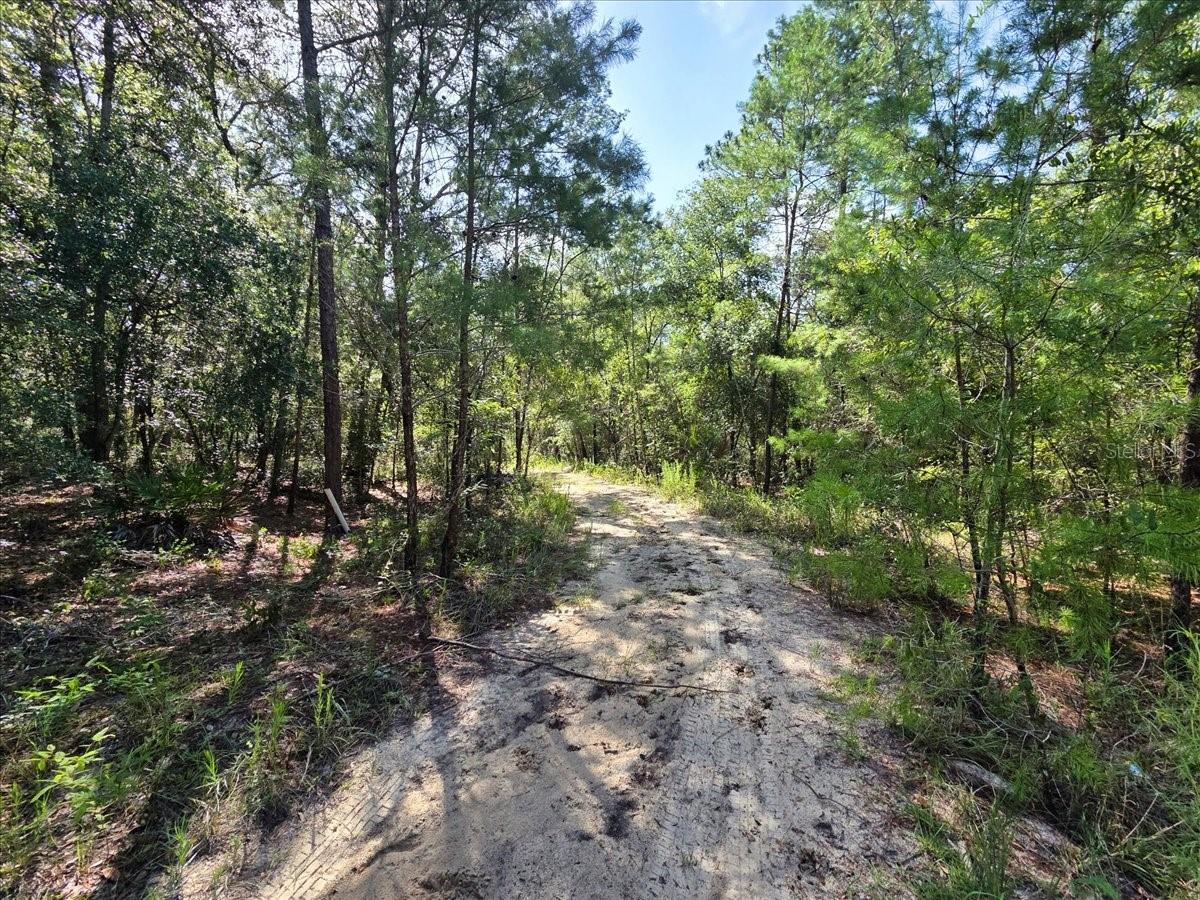 ST JOHNS RIVERSIDE ESTATES - Land