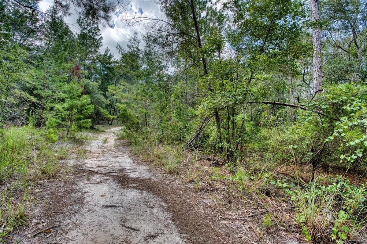 ST JOHNS RIVERSIDE ESTATES - Land