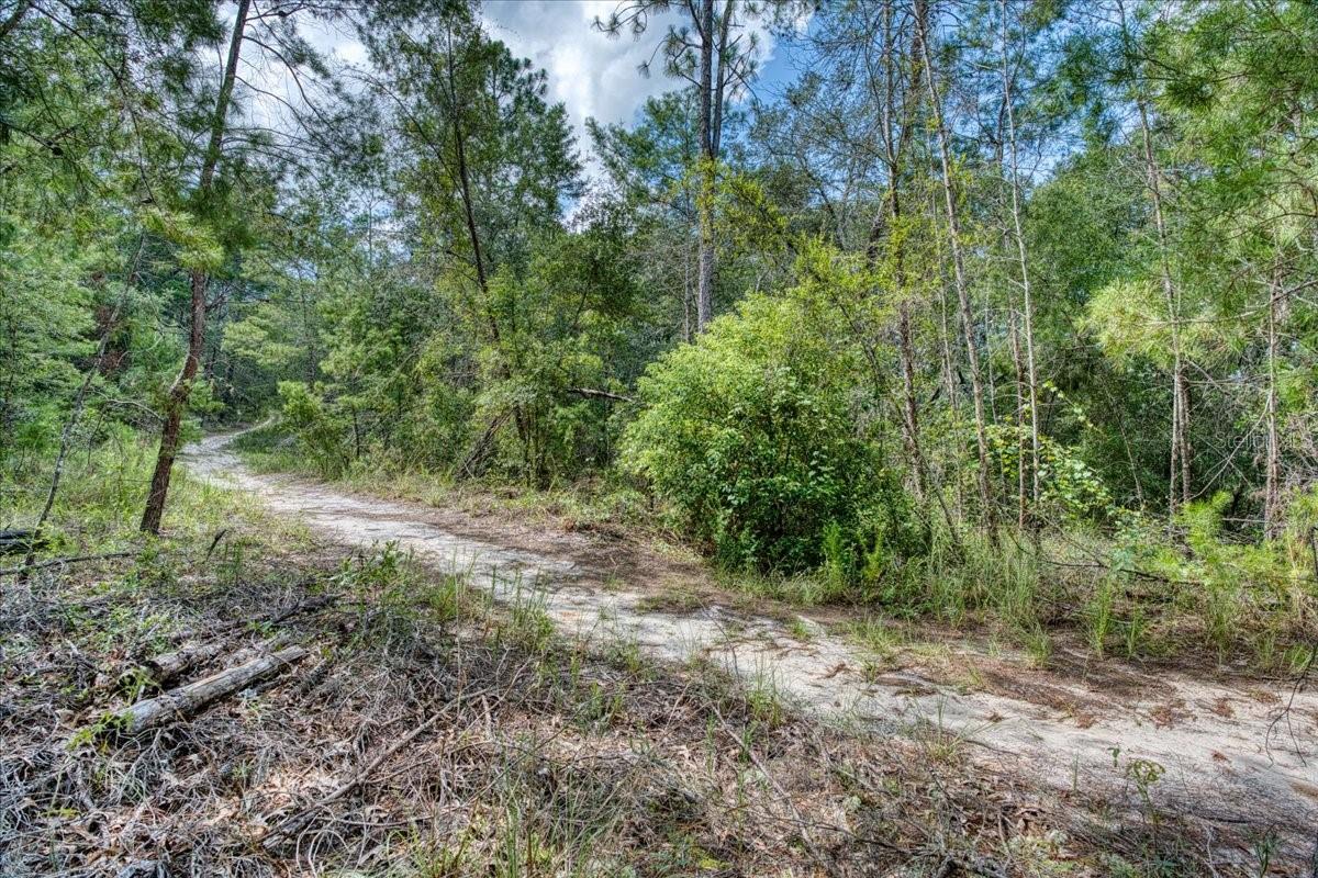 ST JOHNS RIVERSIDE ESTATES - Land