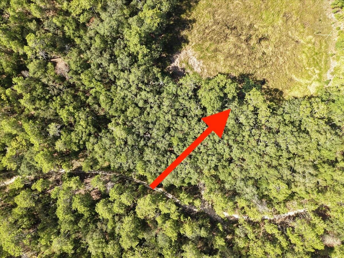 ST JOHNS RIVERSIDE ESTATES - Land