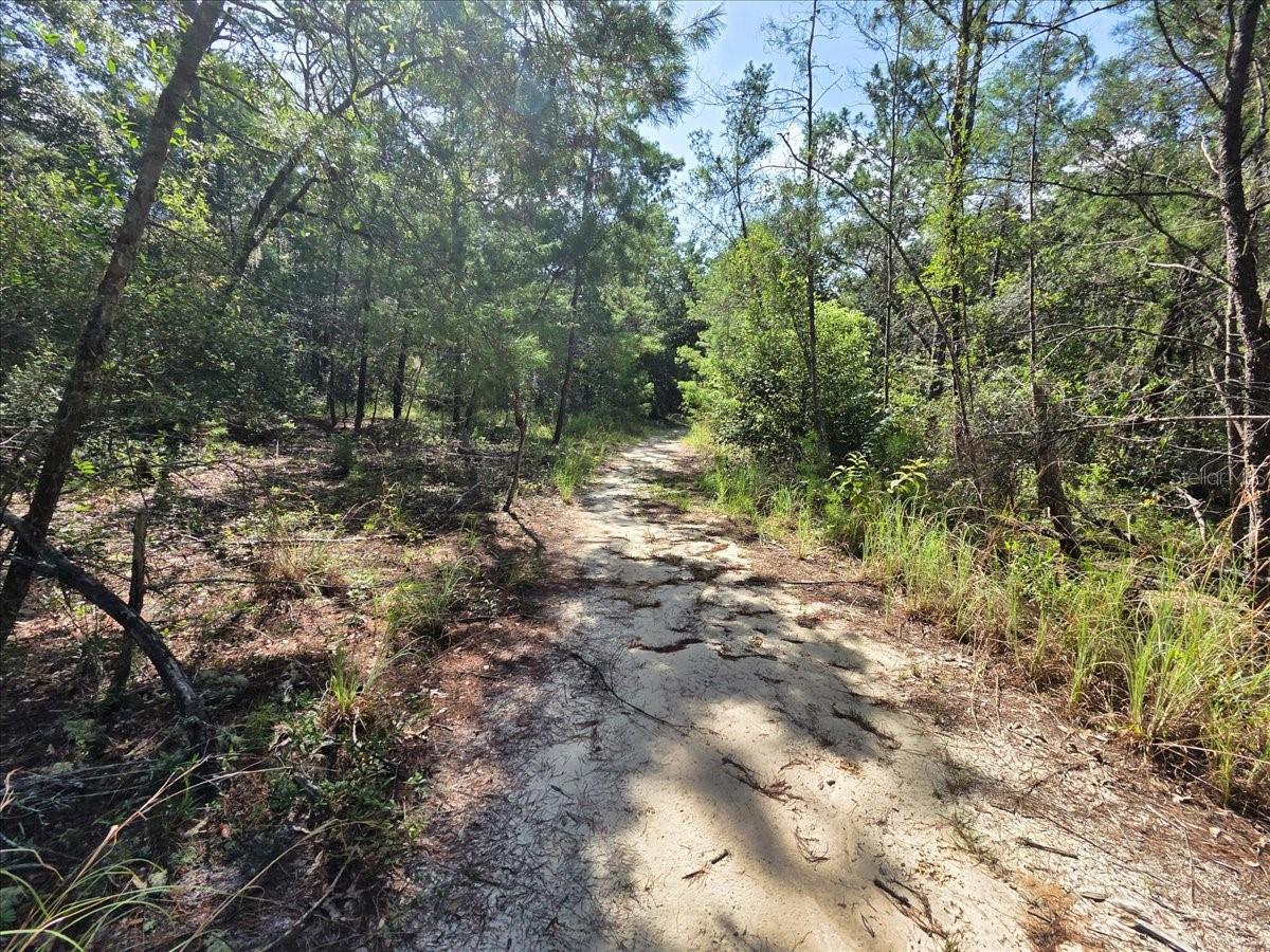 ST JOHNS RIVERSIDE ESTATES - Land