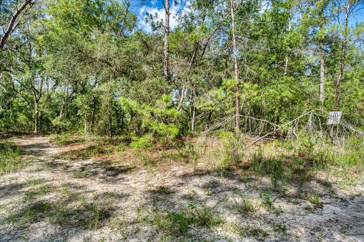 ST JOHNS RIVERSIDE ESTATES - Land