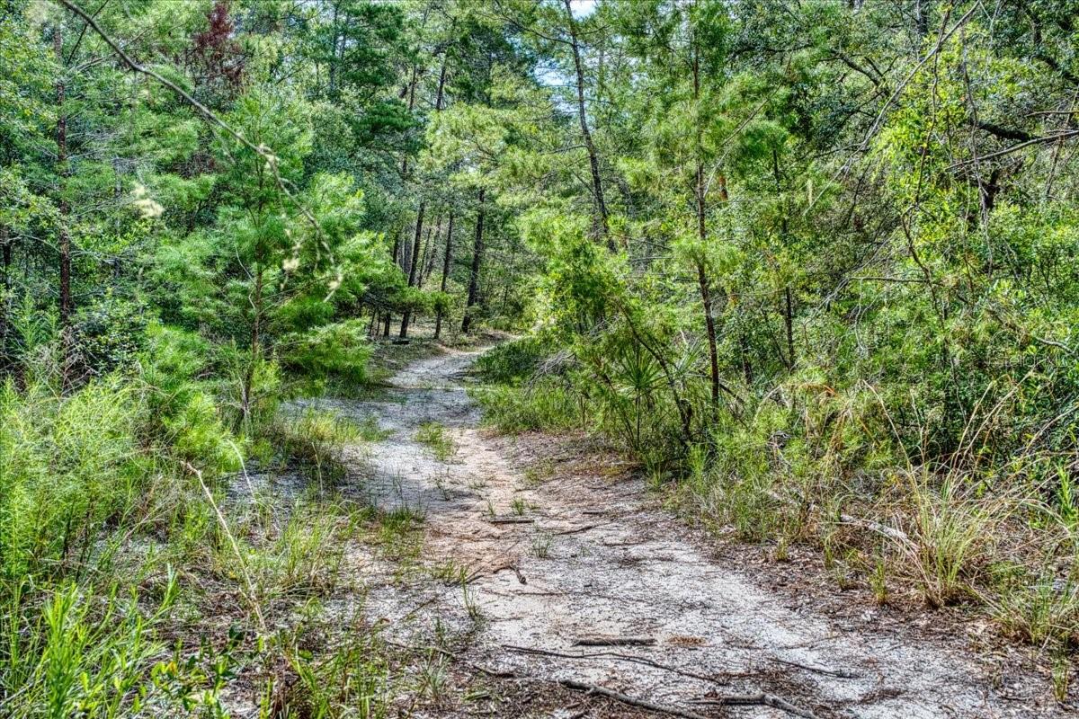 ST JOHNS RIVERSIDE ESTATES - Land