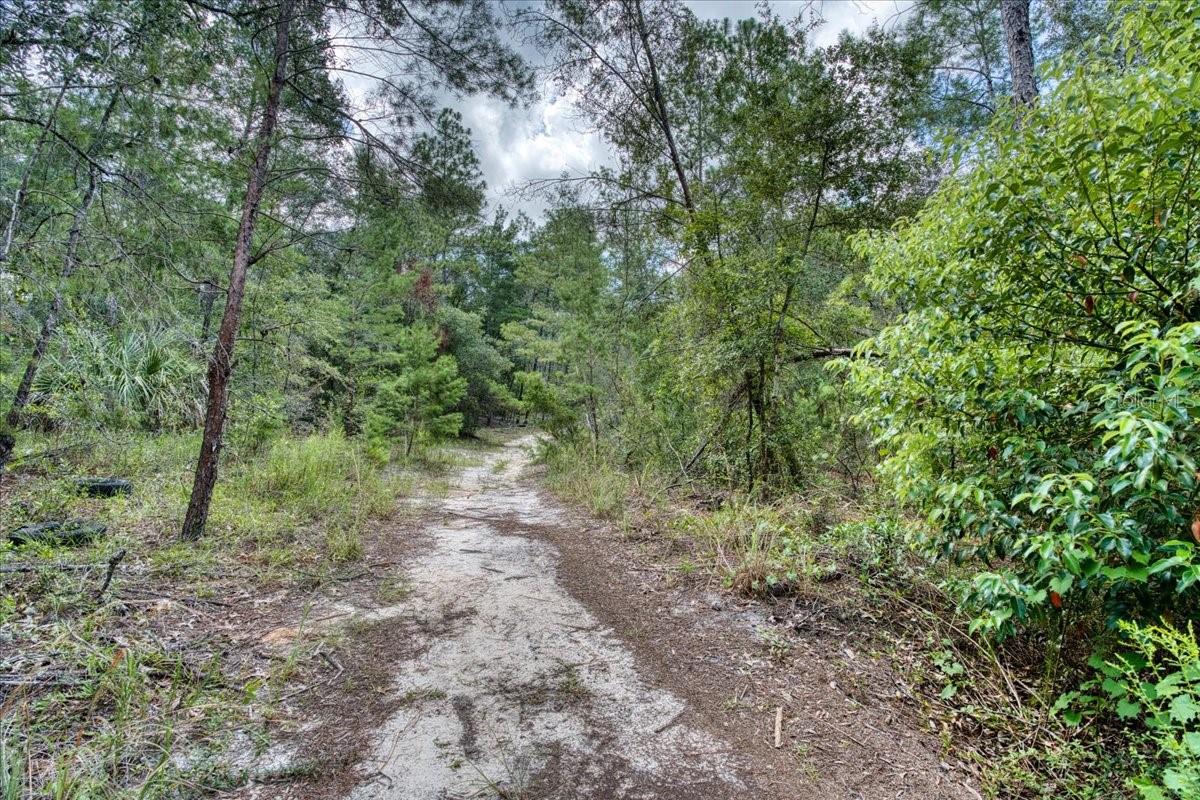 ST JOHNS RIVERSIDE ESTATES - Land