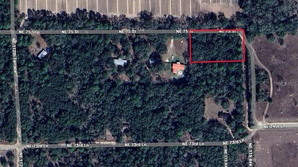 NE 75TH ST, WILLISTON, FL 32696 - Image be6ee07becef330ebe349744df148aaf/2528823102