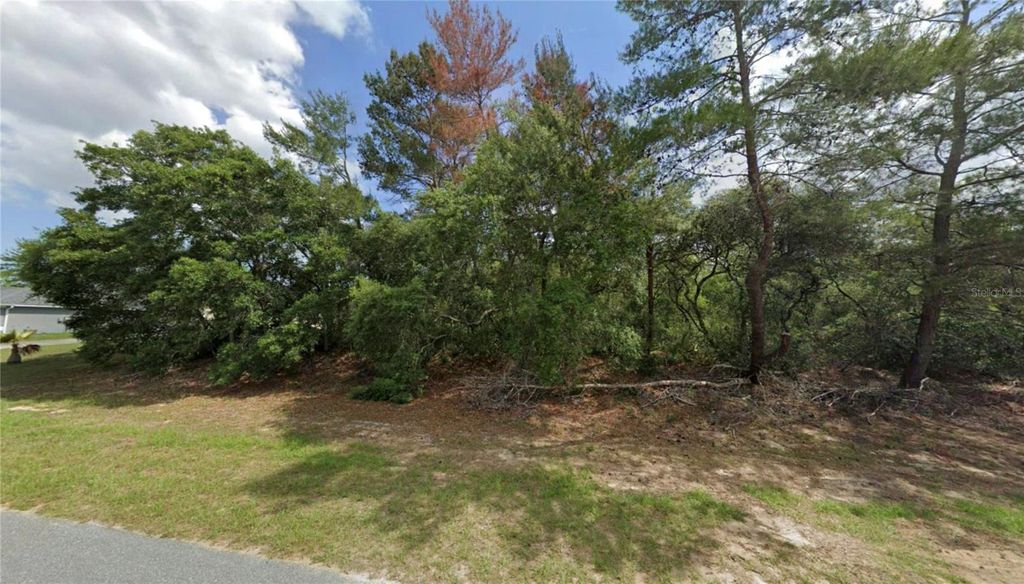 Photo of 0 SW 29th Circle, Ocala, FL 34473 (MLS # OM723388)