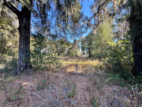 17901 NE 18TH AVENUE CITRA FL 32113