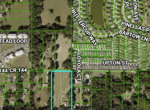 5231 COUNTY ROAD 144 WILDWOOD FL 34785