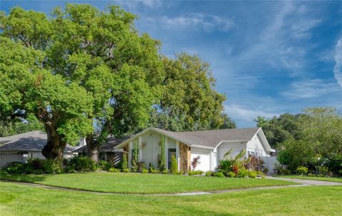 A home in TAMPA