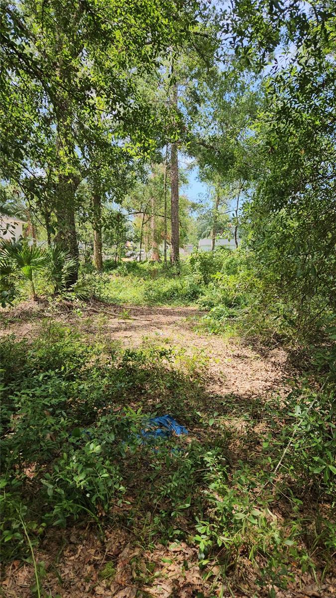Explore the potential of this expansive land property located at 7624 Anno St, Tampa, FL 33625. Nestled in a thriving community and new High End Developments nearby, this parcel has a unique opportunity to build your dream home. With convenient access to local amenities, Top rated schools, and Veterans hwy and major roadways, this location combines tranquility with accessibility. Don't miss the chance to secure a prime piece of real estate in a desirable area of Tampa near Countryside Odessa and Westchase. Rapidly developing area , huge opportunity to build.