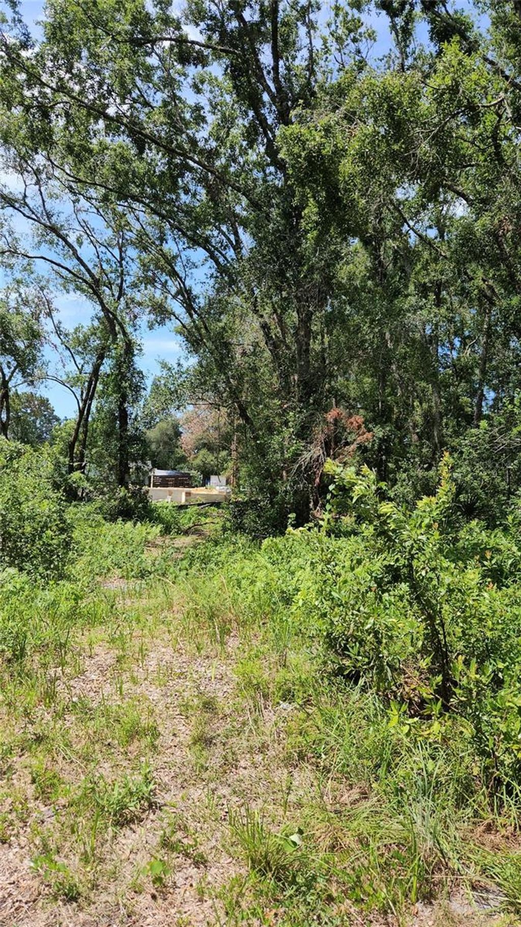 Photo of 7624 Anno Street, Tampa, FL 33625 (MLS # O6326129)