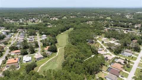 A home in PALM COAST