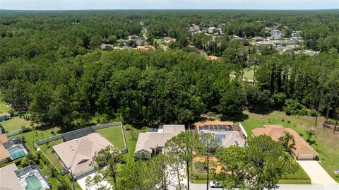 A home in PALM COAST