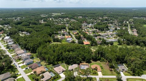 A home in PALM COAST