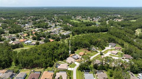 A home in PALM COAST