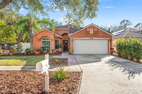 A home in TAMPA