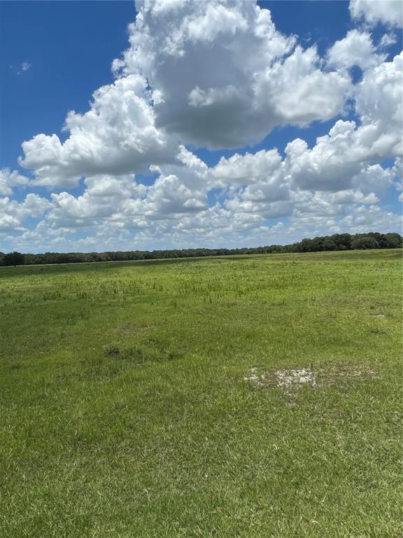 MANATEE SPRINGS - Land