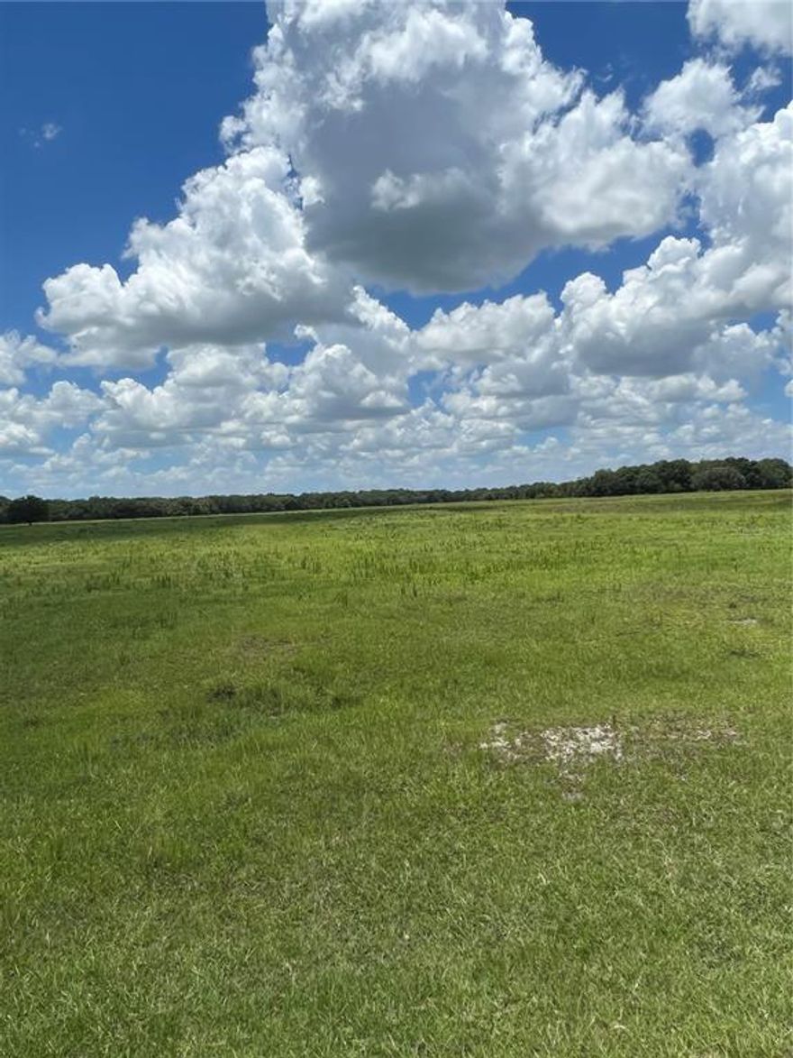 LOOKING for a cattle ranch to raise your beef on 515 acres and 2744 ft of road frontage. The Ranch has plenty of grass for your animals. This property has two Manufactured homes. You have plenty of room to build a home or two if you wish.   This is property for you to have dreams come true, make a great horse farm and many other animals you love. Your zoning is Agriculture, and it is getting hard to find these days.