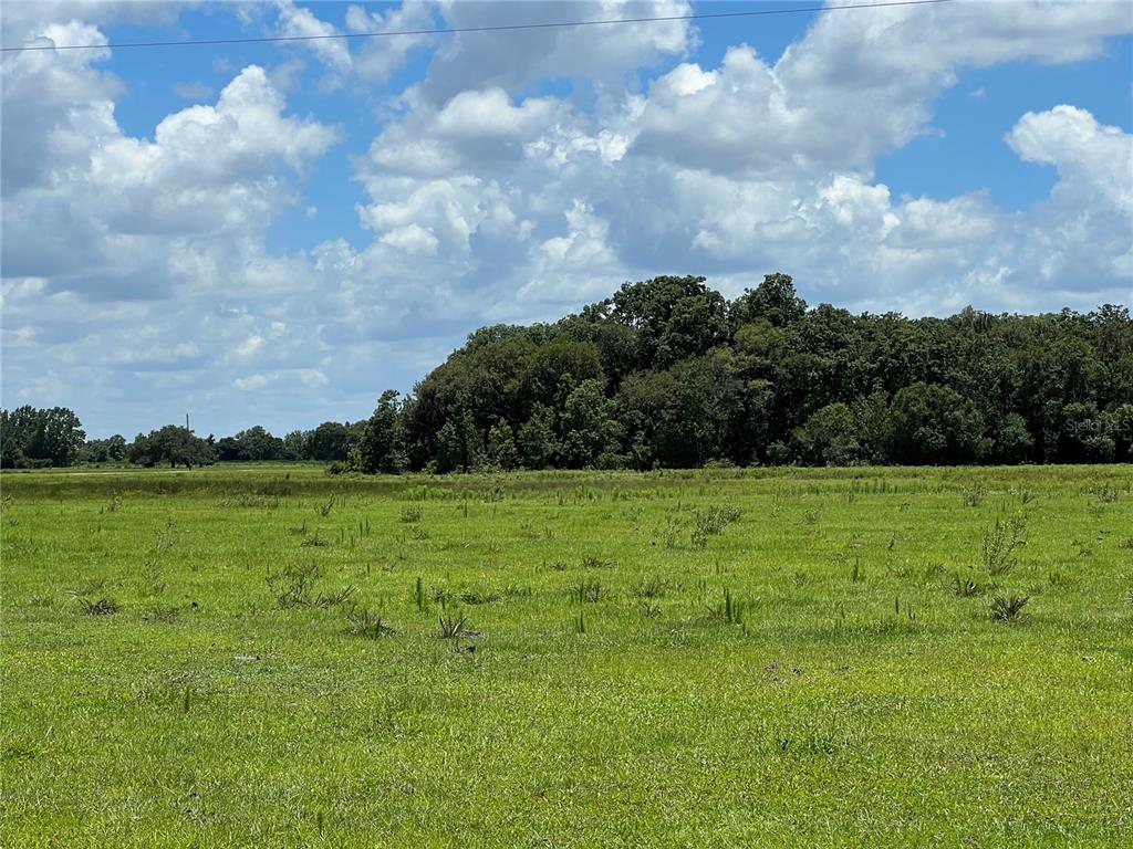 MANATEE SPRINGS - Land