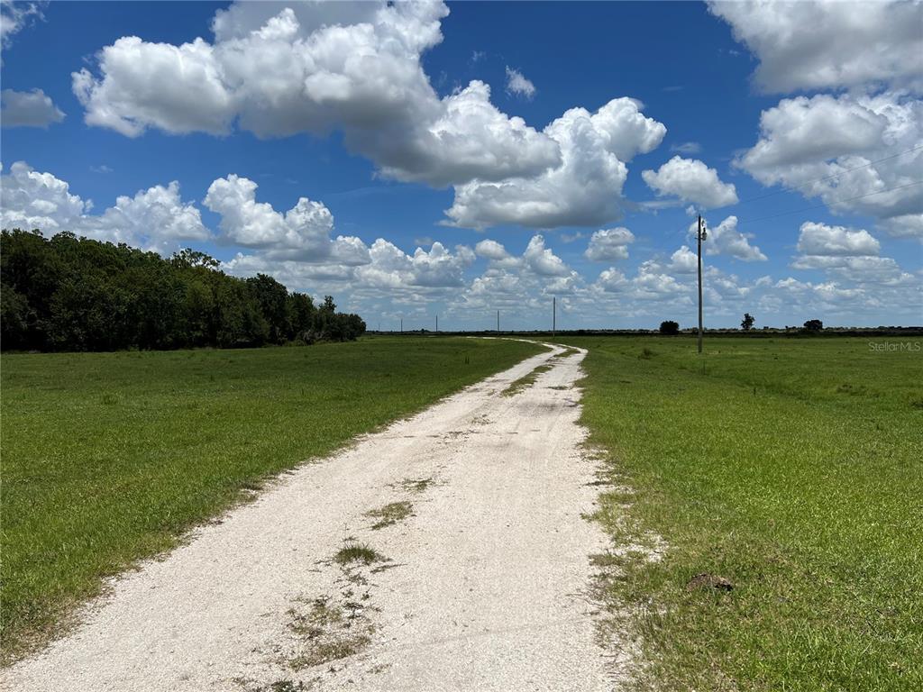 MANATEE SPRINGS - Land