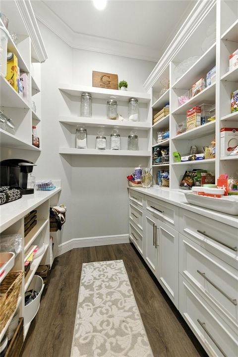 Tiny photo for 2824 SE 20th Avenue, Ocala, FL 34471 (MLS # OM707590)