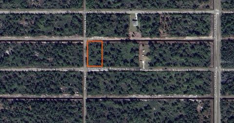 424 BOUGAINVILLE DRIVE INDIAN LAKE ESTATES FL 33855