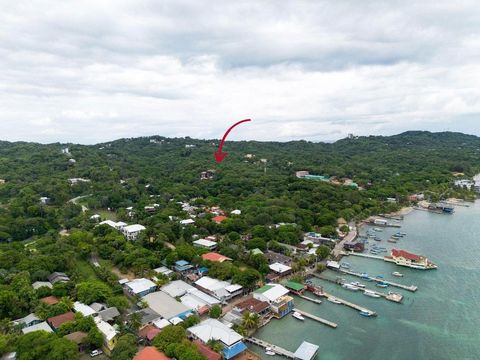 Photo of Roatan, FL 34101 (MLS # O6324365)