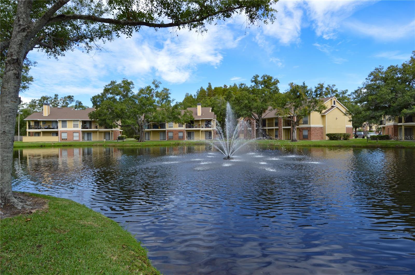 Welcome to Paradise at The Grand Reserve Condominiums in Tampa. This gorgeous one bedroom and one bathroom condo has maple beveled kitchen cabinets with large pantry, white appliances, full size washer & dryer, high ceilings, HUGE dining & living area, and Porcelain tile floors all throughout. Located on the 1st floor fenced-in covered patio w/storage room lake view. Rent Includes: Trash and 1 assigned parking spot. No pets allowed. The Grand Reserve Condominiums in Tampa is a gated community with great amenities Clubhouse, laundry facility, resort style swimming Pool & Spa, cabanas, Fitness Center, lighted Tennis courts, gazebo and walking trails. You are just South of Carrollwood and steps away from the heart of Tampa's shopping, dining, arts & culture, Raymond J. Stadium, Veterans and 275, Downtown Tampa, Tampa International Airport and a short drive to the beautiful Gulf coast beaches and St. Petersburg