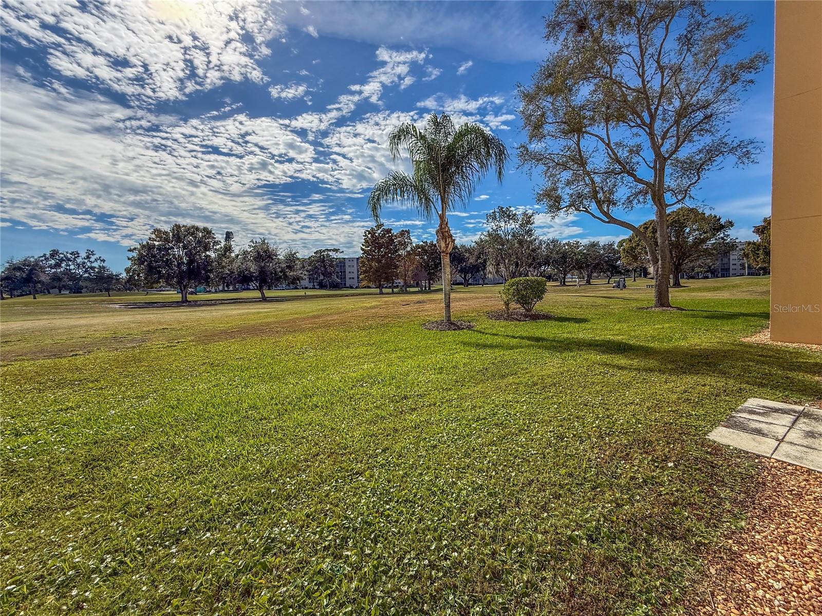 THE WOODS AT PINEBROOK - Residential