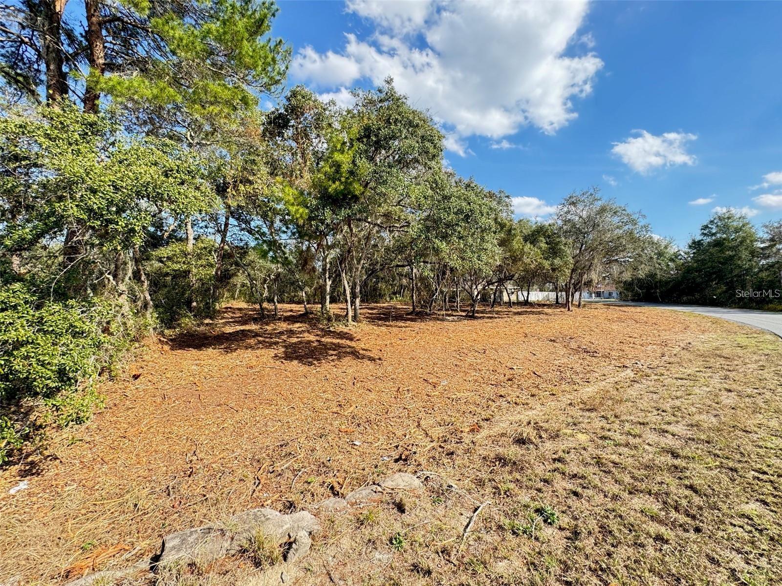 SILVER SPGS SHORES UN 12 - Land