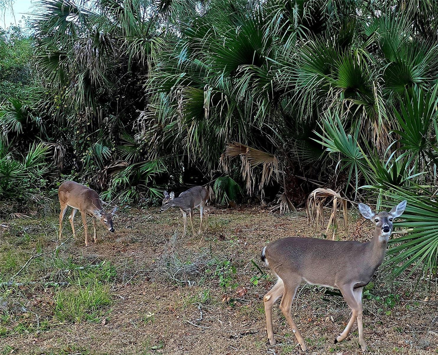 ANCHORAGE OF TARPON LAKE UNIT THREE THE - Residential
