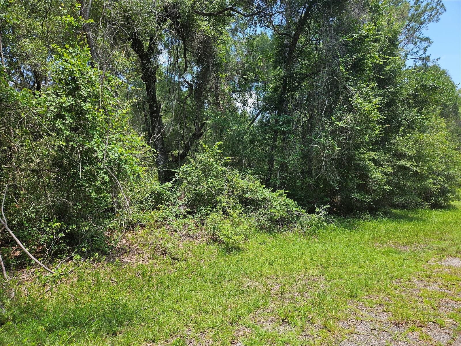 Photo 1 of 4 — 1582 DERBY DR., DUNNELLON, FL 34434