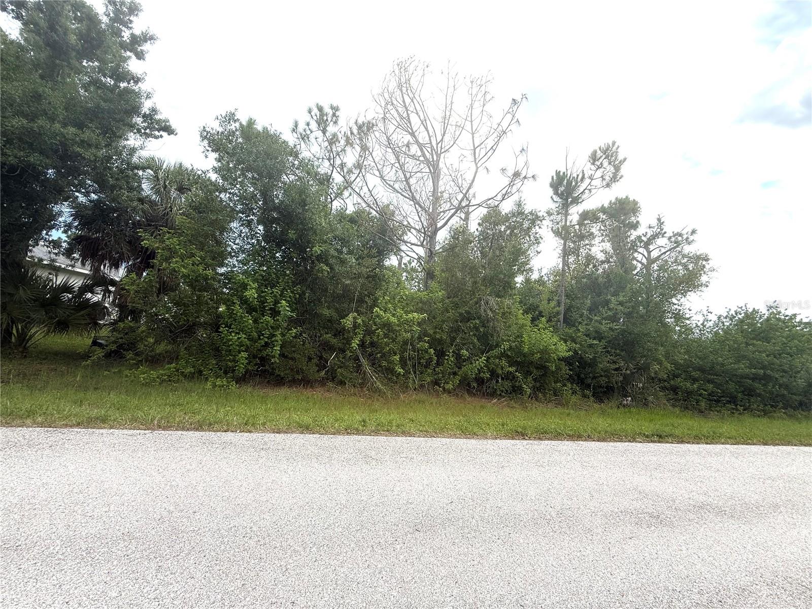 Discover the perfect opportunity to build your dream home on this half-acre lot in Englewood. Nestled in a peaceful residential neighborhood, this property is free of scrub jay habitat and located in Flood Zone X (X500)—offering peace of mind. With ample space to accommodate a custom home, pool, garage, or garden, the possibilities are endless. Ideally positioned just minutes from beautiful Gulf beaches, golf courses, shopping, dining, and parks. Whether you're ready to build or seeking a solid investment in a growing area, this property is a rare and valuable find.