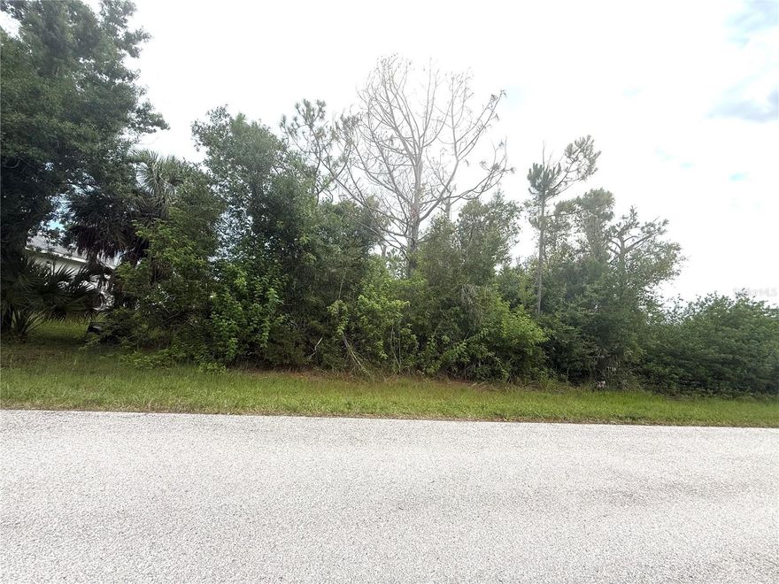 Discover the perfect opportunity to build your dream home on this half-acre lot in Englewood.  Nestled in a peaceful residential neighborhood, this property is free of scrub jay habitat and located in Flood Zone X (X500)—offering peace of mind. With ample space to accommodate a custom home, pool, garage, or garden, the possibilities are endless. Ideally positioned just minutes from beautiful Gulf beaches, golf courses, shopping, dining, and parks. Whether you're ready to build or seeking a solid investment in a growing area, this property is a rare and valuable find.