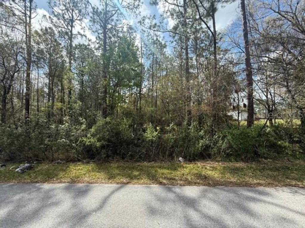Photo of Green Willow Run #LOT 759, Wesley Chapel, FL 33544 (MLS # TB8359192)