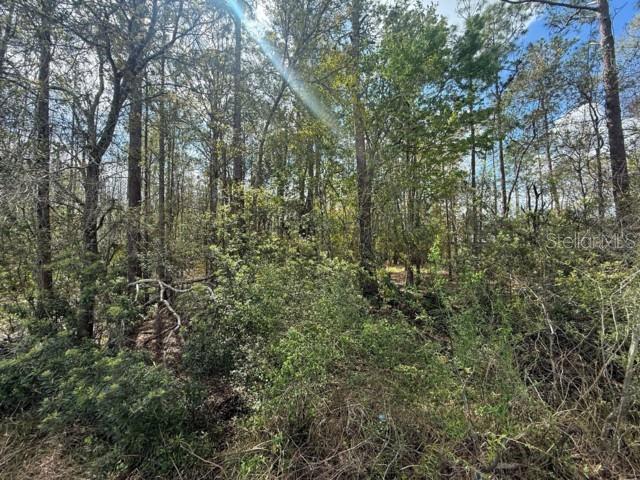 QUAIL HOLLOW PINES - Land