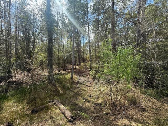 QUAIL HOLLOW PINES - Land