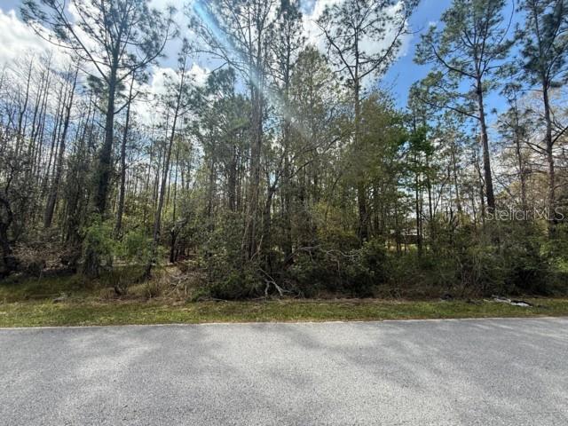 QUAIL HOLLOW PINES - Land