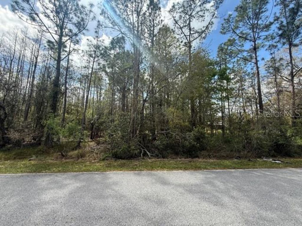 Photo of Green Willow Run #LOT 759, Wesley Chapel, FL 33544 (MLS # TB8359192)