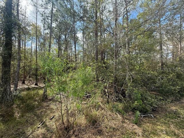 QUAIL HOLLOW PINES - Land