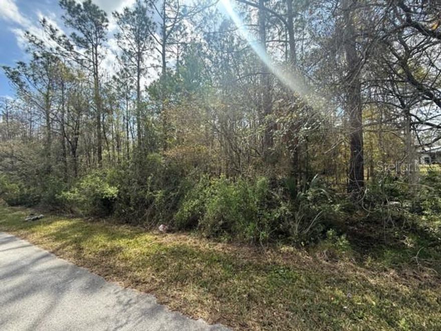 Build Your Dream Home in the Heart of Wesley Chapel! Discover this prime vacant lot in the sought-after Quail Hollow Pines community! Spanning just over 1 acre, this beautiful piece of land offers the perfect opportunity to design and build your dream home while enjoying privacy and space. Nestled in a peaceful, non-HOA neighborhood, this lot is surrounded by nature yet conveniently located near everything—shopping, dining, entertainment, medical facilities, and major highways for an easy commute.  Zoned AR1.  Whether you're looking for a quiet retreat or a spacious property to create your own oasis, this lot is a rare find in Wesley Chapel! Don't miss out on this amazing opportunity!