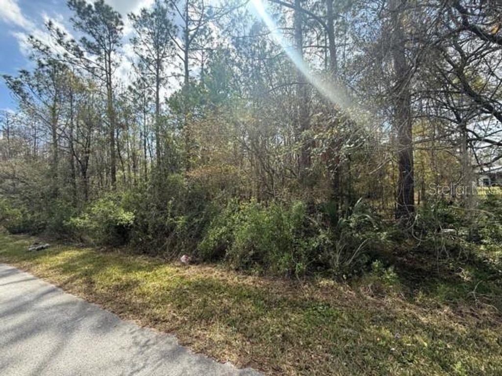 Photo of Green Willow Run #LOT 759, Wesley Chapel, FL 33544 (MLS # TB8359192)