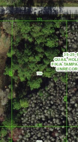 QUAIL HOLLOW PINES - Land