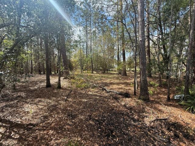 QUAIL HOLLOW PINES - Land