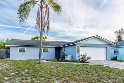 12401 ROSE STREET SEMINOLE FL 33772