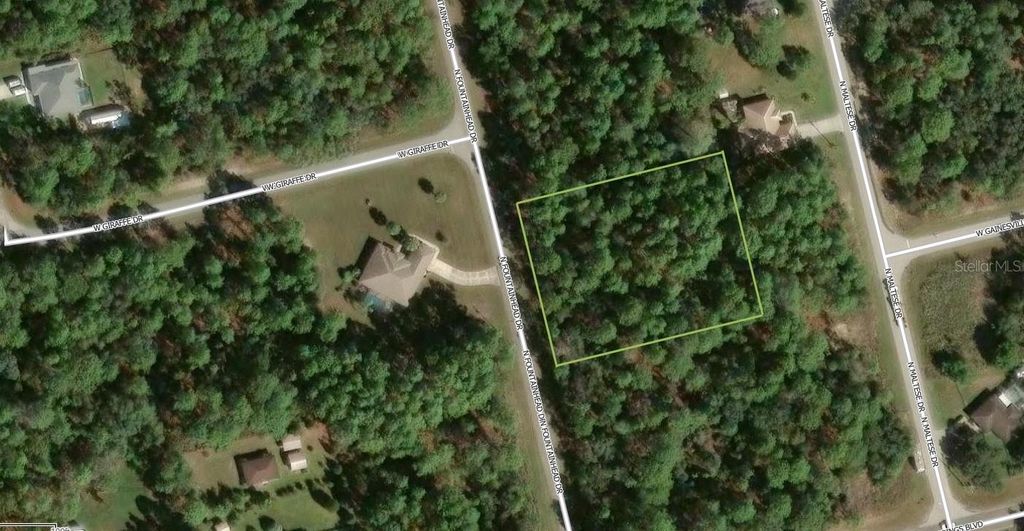 Photo of 7381 N Fountainhead Drive, Citrus Springs, FL 34433 (MLS # A4693210)