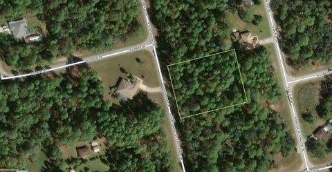 7381 N FOUNTAINHEAD DRIVE CITRUS SPRINGS FL 34433