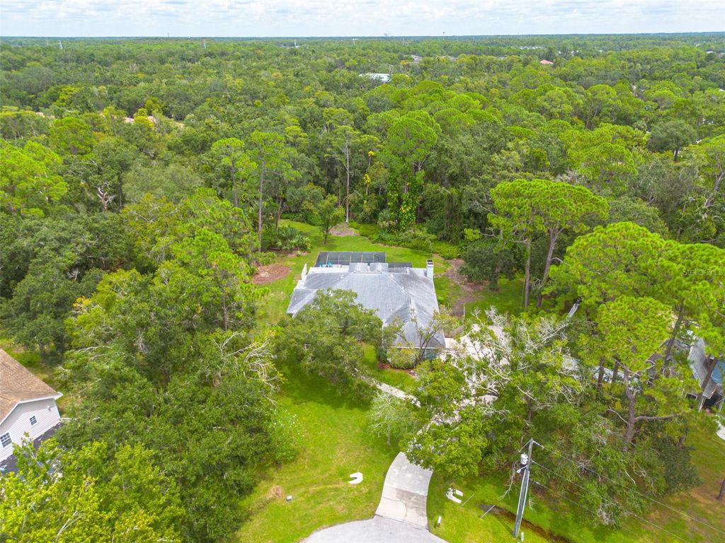 Photo of 10905 Spur Court, Tampa, FL 33626 (MLS # TB8424618)