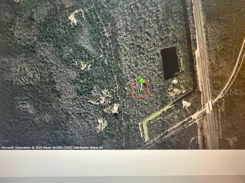 NONE RUN OAK HILL FL 32759
